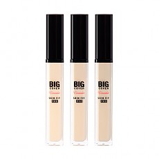 [ETUDE] Big Cover Skin Fit Concealer Pro (4 Colors)