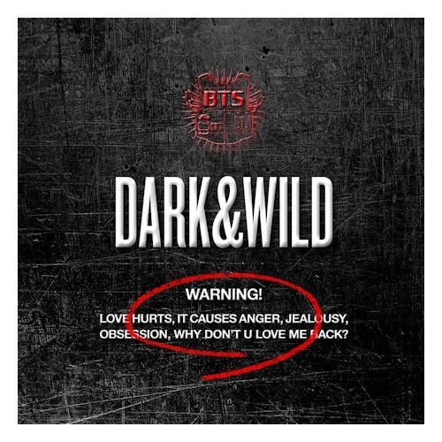 [K-POP] BTS The 1st Studio Album - DARK&WILD