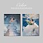 [K-POP] KWON EUN BI Mini Album vol.2 - Color (A/B ver.)
