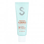 [Be The Skin] Sebum Zero Aloerice Vegan Sun Cream 50ml SPF 50+, PA++++