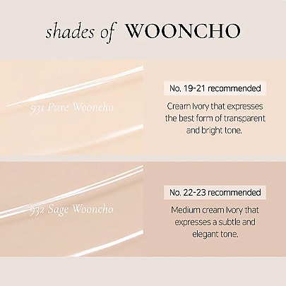 [Dinto] Wooncho Blur Glowy Foundation (2 colors)