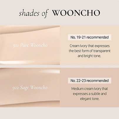 [Dinto] Wooncho Blur Matte Foundation (2 colors)