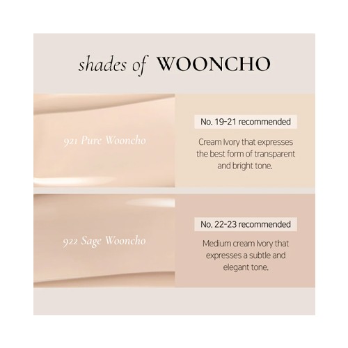 [Dinto] Wooncho Blur Matte Foundation (2 colors)