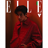 [K-POP] ELLE 2023.04 x BTS V (B TYPE)