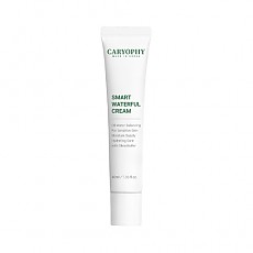 [CARYOPHY] Smart Waterful Cream 40ml