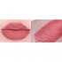 [AMUSE] *new color* Lip Smudger (8 Colors)