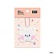 [K-POP] BTS - BT21 minini SOFT KEYRING RJ