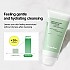 [Veganifect] Clean And Glow Green Barley LHA Deep Cleansing Foam 165ml