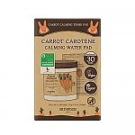 [Skinfood] Carrot Carotene Calming Water Pad Special Plus Set (60P+40P)