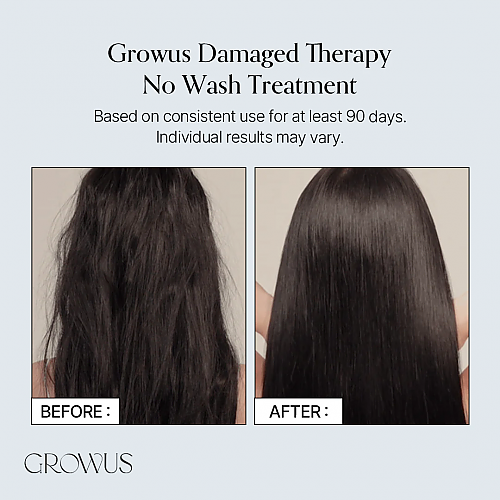 [GROWUS] Damage Therapy No-Wash Treatment EX 250ml