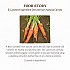 [Skinfood] Carrot Carotene Mask (10ea)